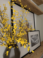 Eloïse FIAT - HELO ARCHITECTE D'INTERIEUR